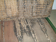 畳と床板の被害