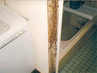 浴室　ドア枠の被害